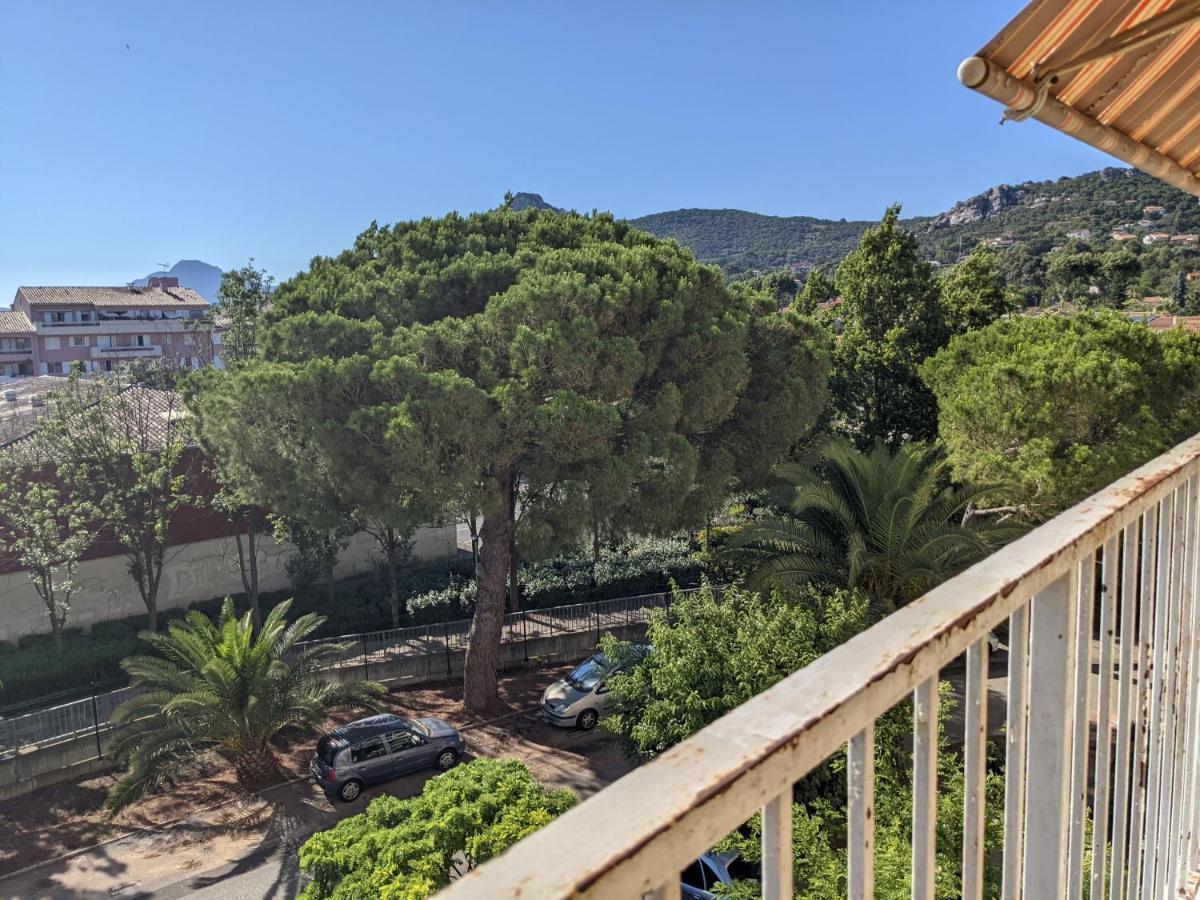 Superbe T2 Proche Des Plages Et Des Commerces Hyères Eksteriør bilde