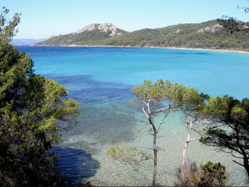 Superbe T2 Proche Des Plages Et Des Commerces Hyères Eksteriør bilde